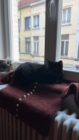 https://www.mathildewarnier.com/files/gimgs/th-13_IMG_5190_1.jpg
